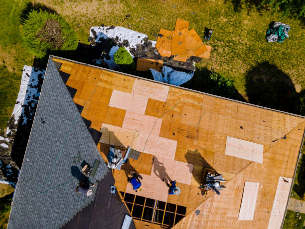 Quick and Trustworthy Emergency Roof Repair Services in Holden, MO